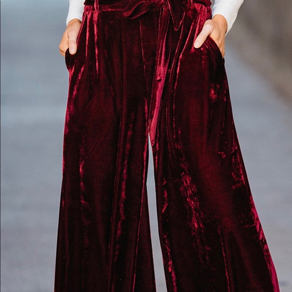 Burgundy Velvet Belted Groucho Pants M NWOT.